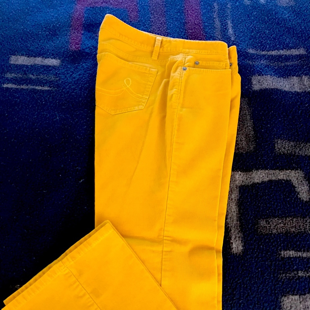 New Denim pants, Loft. Yellow, size 6, petite.
